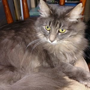 Meet your Posher, Mary